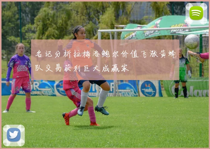 名记分析拉梅洛鲍尔价值飞涨黄蜂队交易获利巨大成赢家
