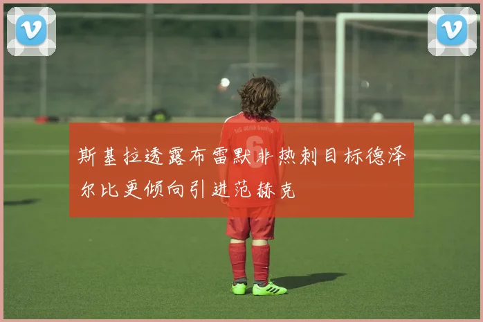 斯基拉透露布雷默非热刺目标德泽尔比更倾向引进范赫克