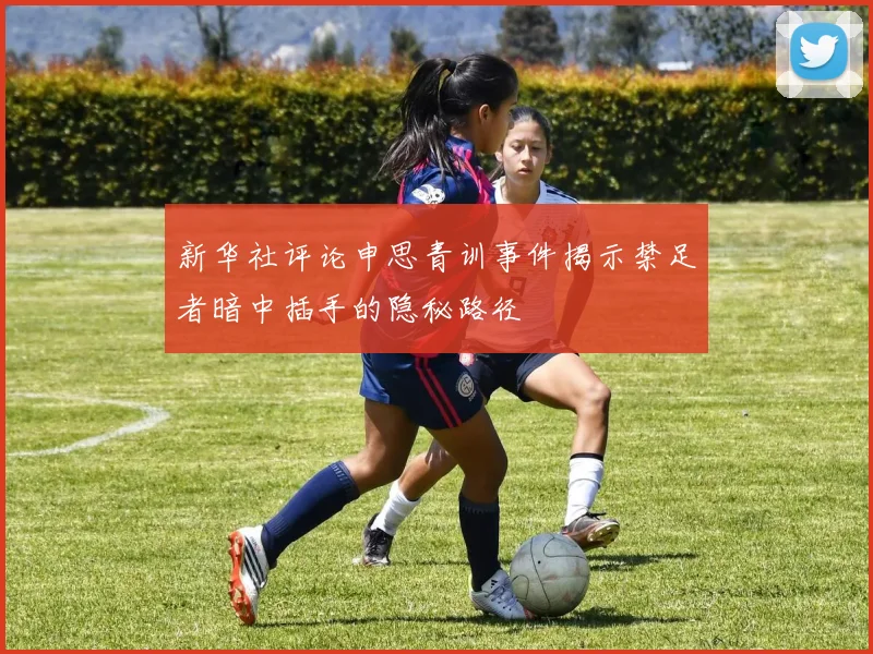 新华社评论申思青训事件揭示禁足者暗中插手的隐秘路径