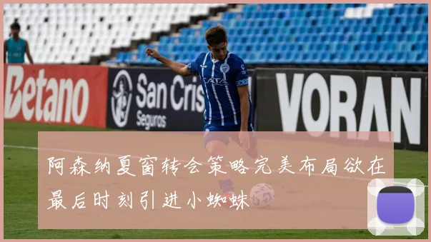 阿森纳夏窗转会策略完美布局欲在最后时刻引进小蜘蛛